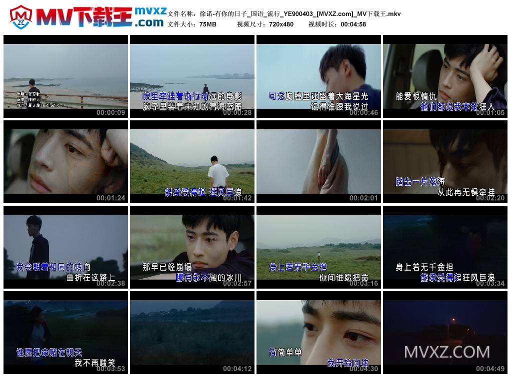 徐诺-有你的日子_国语_流行_YE900403